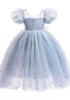 Load image into Gallery viewer, Snow Elsa Princess Birthday Party Dress Costume - Fox Baby & Co