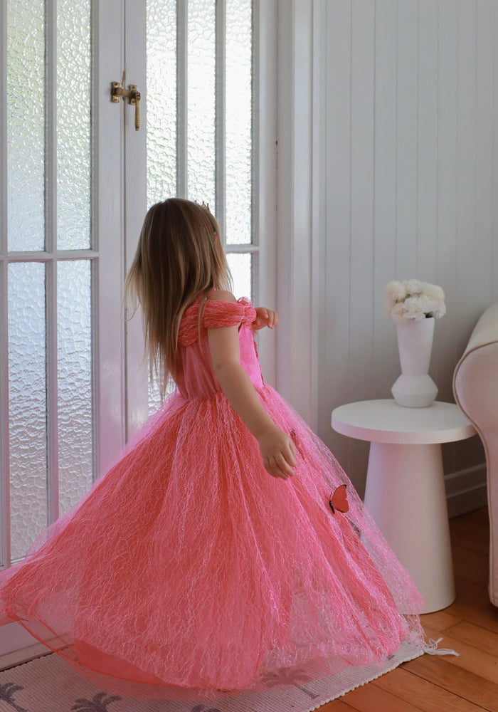 Pink Aurora Butterfly Princess Party Dress Costume