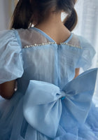 Load image into Gallery viewer, Bluebell Luxe Princess Birthday Party Dress Costume - Fox Baby & Co