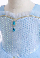Load image into Gallery viewer, Snow Queen Princess Birthday Party Dress Costume with cape - Fox Baby & Co