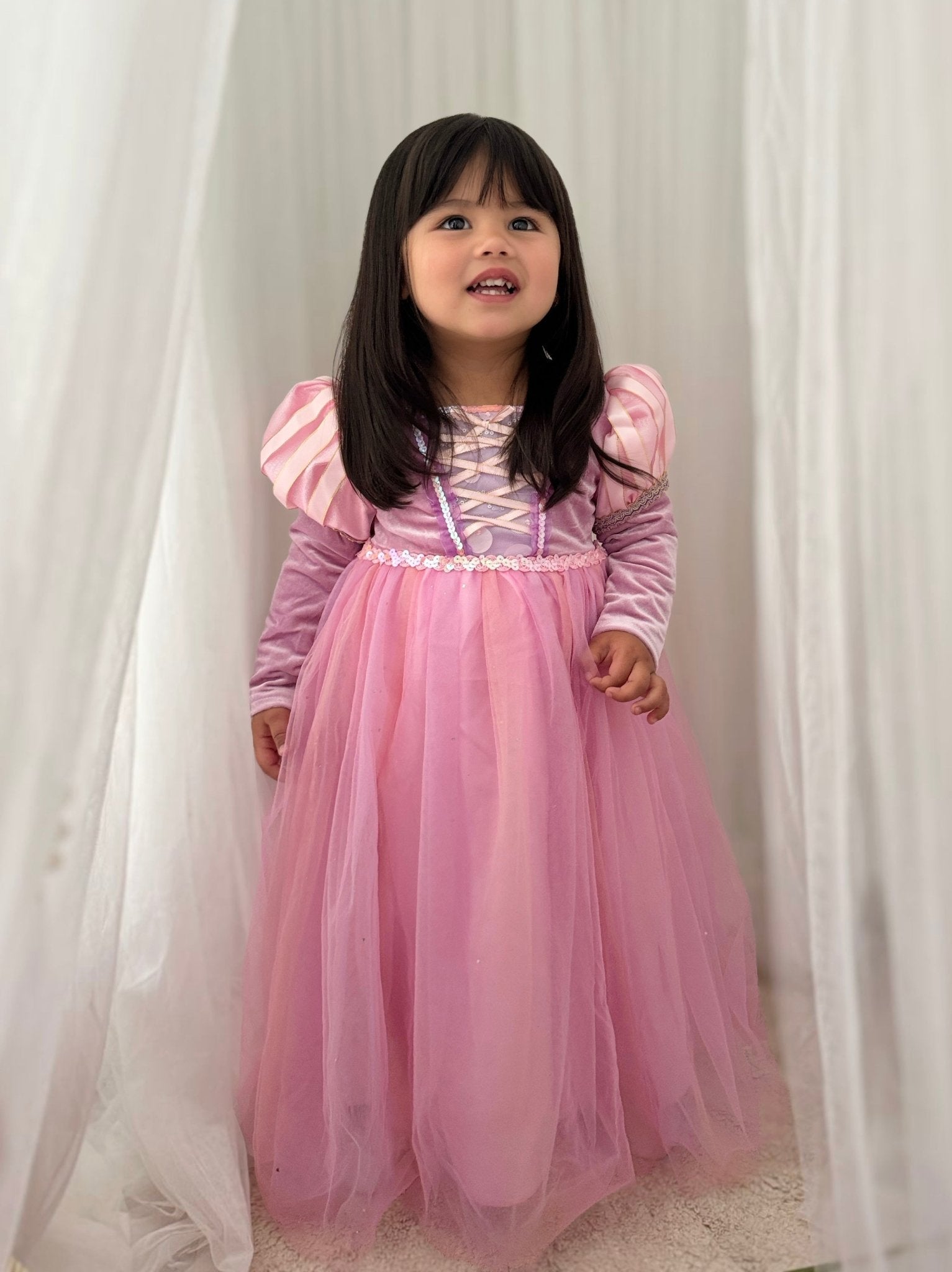 Enchanted Purple Princess Birthday Long Sleeve Party Dress Costume