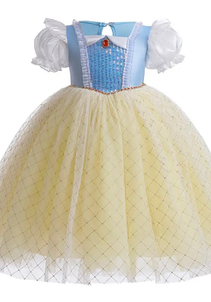 Magical Princess Birthday Party Dress Costume (Pre order)
