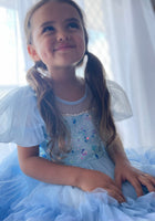 Load image into Gallery viewer, Bluebell Luxe Princess Birthday Party Dress Costume - Fox Baby & Co