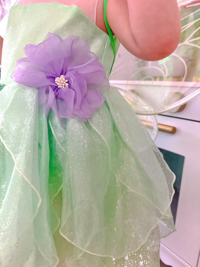 Tinker Fairy Princess Dress & matching Wings - Fox Baby & Co