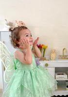 Load image into Gallery viewer, Tinker Fairy Princess Dress & matching Wings - Fox Baby & Co
