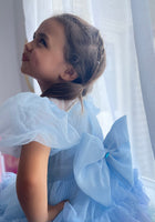 Load image into Gallery viewer, Bluebell Luxe Princess Birthday Party Dress Costume - Fox Baby & Co