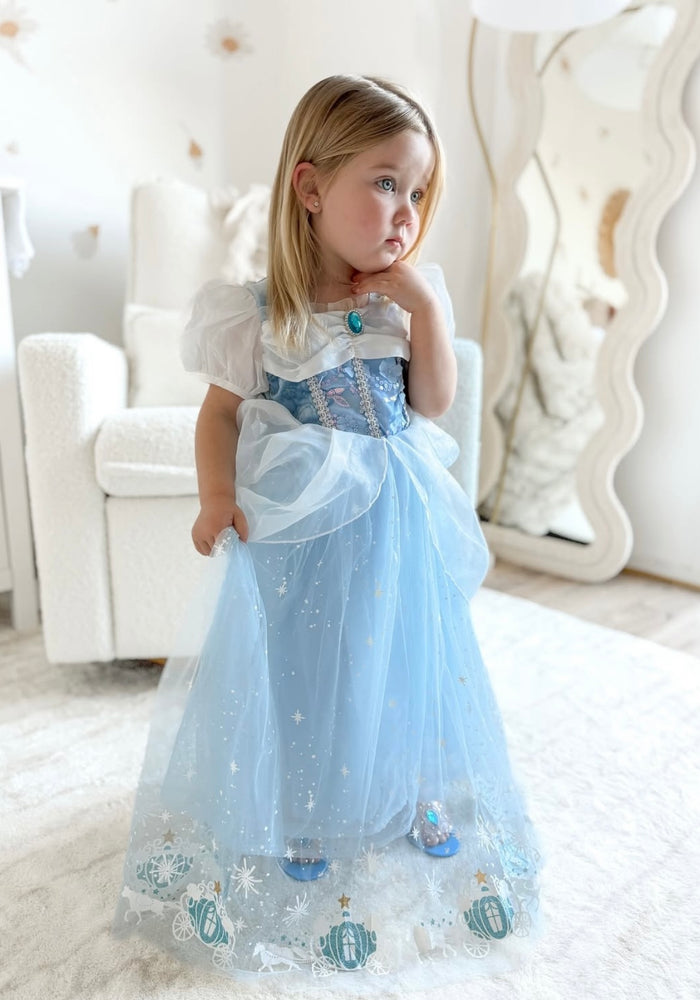 Enchanted Snow Princess Birthday Party Dress Costume with fingerless gloves - Fox Baby & Co