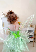 Load image into Gallery viewer, Tinker Fairy Princess Dress & matching Wings - Fox Baby & Co