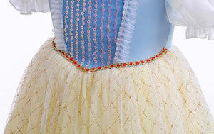 Magical Princess Birthday Party Dress Costume