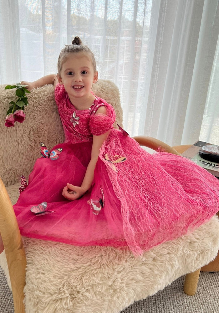 Pink Aurora Butterfly Princess Party Dress Costume