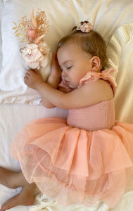 Little girl Mirabelle Tutu Birthday Dres- Pink (pre order)