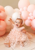 Load image into Gallery viewer, Whimsical Butterfly Tulle Dress - Baby Pink
