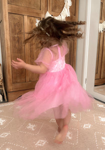 Kid little girl Bubblegum Pink Fairytale Birthday Tulle Dress