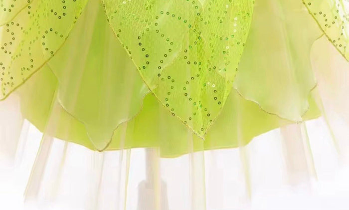 Enchanting Tinkerbell Luxe Fairy Princess Dress & matching Wings - Fox Baby & Co