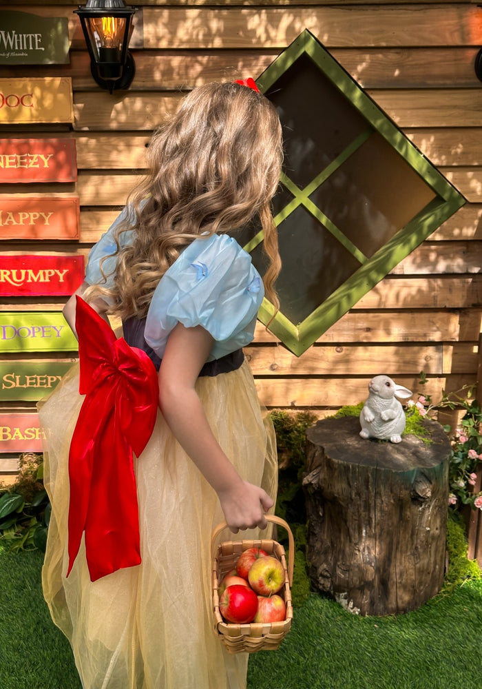 Magical Snow White Luxe Princess Party Dress Costume - Fox Baby & Co