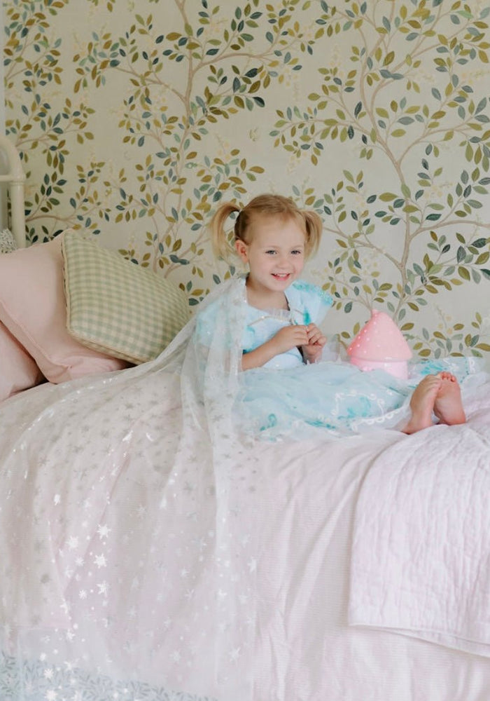 Snow Queen Princess Birthday Party Dress Costume with cape - Fox Baby & Co