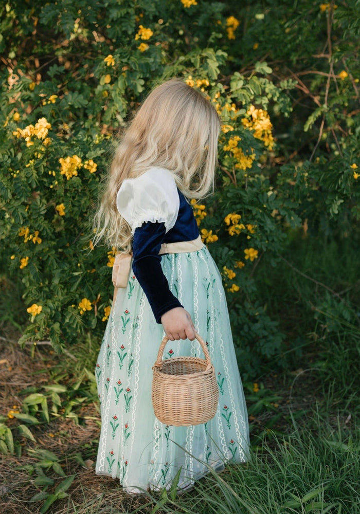 Enchanted Anna Princess Long Sleeve Party Dress Costume - Fox Baby & Co