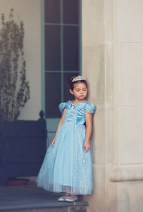 Classic Cinderella Princess Party Dress Costume - Fox Baby & Co
