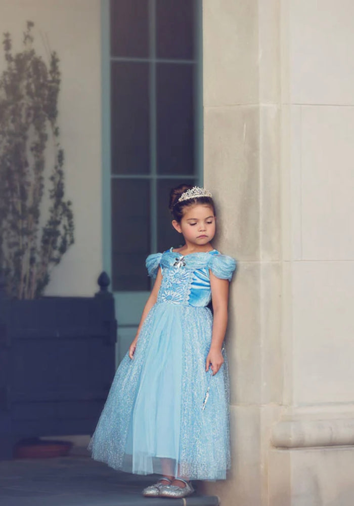 Classic Cinderella Princess Party Dress Costume - Fox Baby & Co