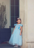 Load image into Gallery viewer, Classic Cinderella Princess Party Dress Costume - Fox Baby &amp; Co
