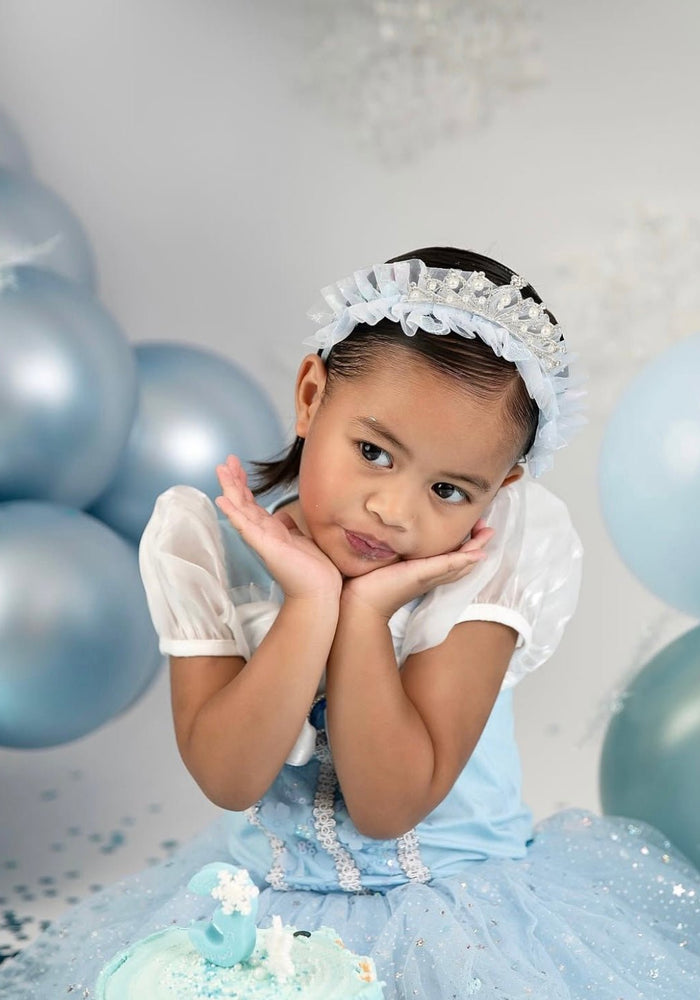 New Snow Princess Birthday Tutu - Fox Baby & Co