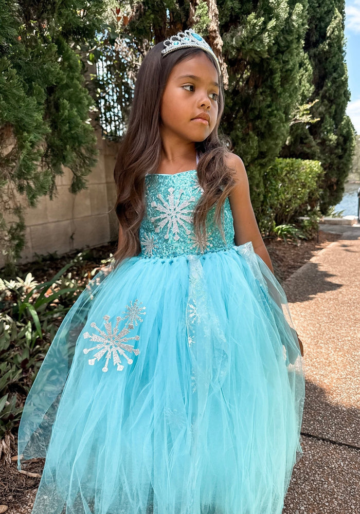 Elsa Snow Princess Tulle Tutu Dress Costume with Jewellery Set - Fox Baby & Co