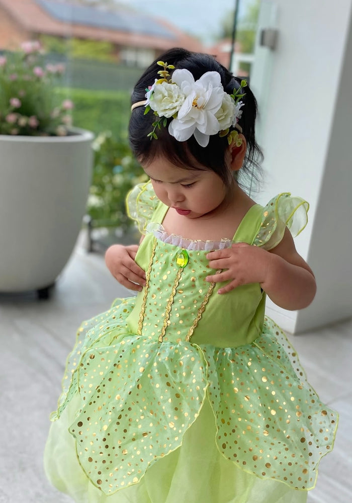 NEW Tinker Fairy Princess Dress & matching Wings - Fox Baby & Co