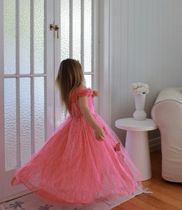 Pink Aurora Butterfly Princess Party Dress Costume