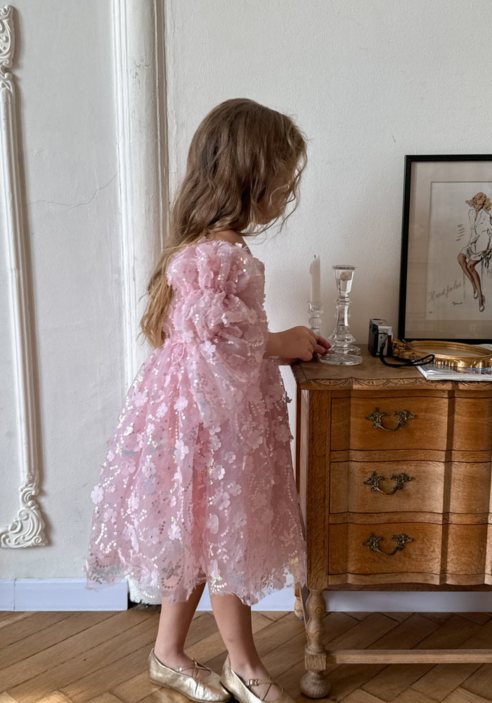 Flowergirl Sparkle Wonderland Long Sleeve Luxe Tulle Dress - Pink - Fox Baby & Co
