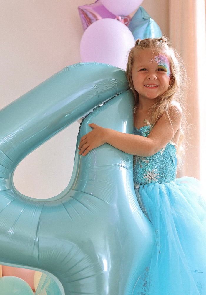 Elsa Snow Princess Tulle Tutu Dress Costume with Jewellery Set - Fox Baby & Co