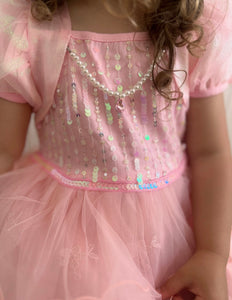 Aurora Princess Birthday Party Dress Costume - Pre order