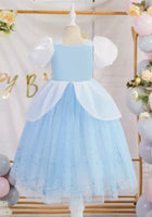 Load image into Gallery viewer, Blue &amp; White Floral Princess Party Dress (pre order)

