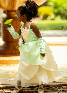 Tiana Whimsical Princess Party Dress (pre order) - Fox Baby & Co
