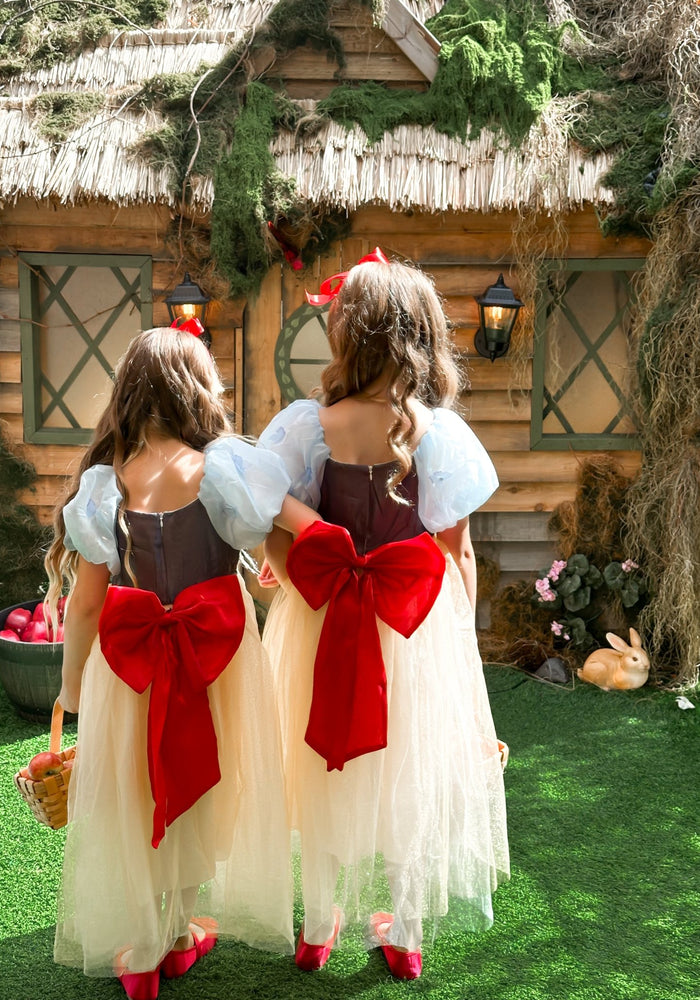 Magical Snow White Luxe Princess Party Dress Costume - Fox Baby & Co