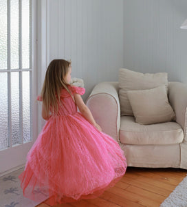 Pink Aurora Butterfly Princess Party Dress Costume