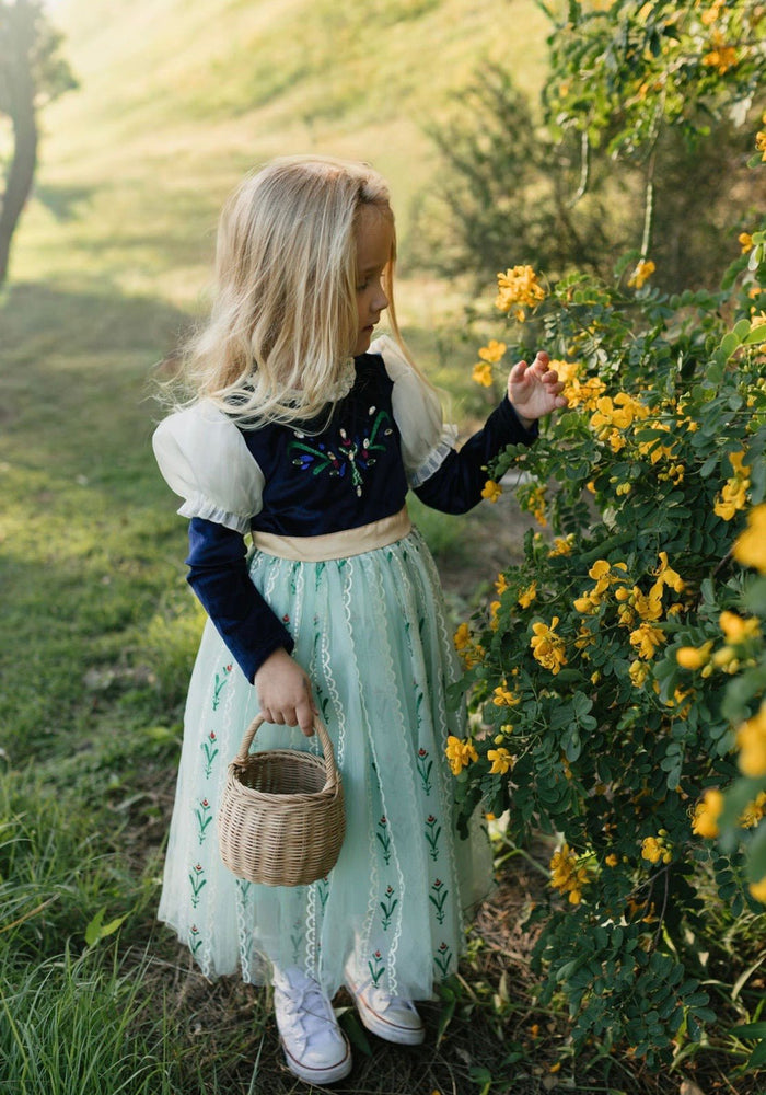 Enchanted Anna Princess Long Sleeve Party Dress Costume - Fox Baby & Co