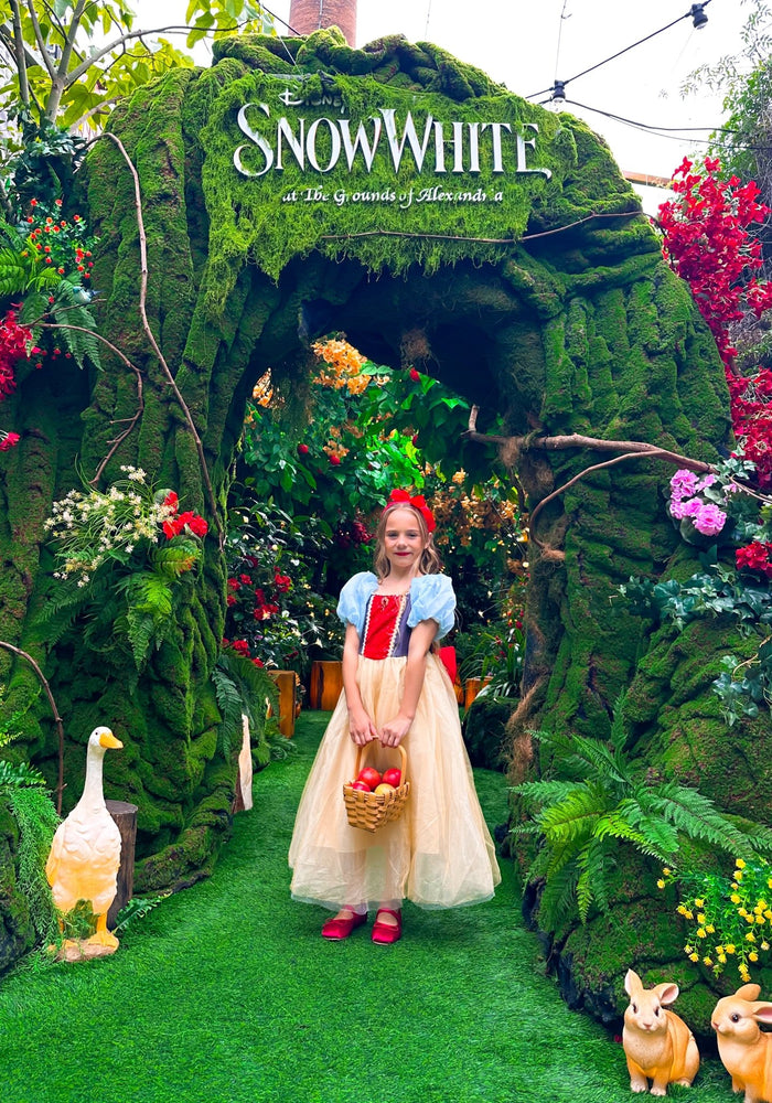 Magical Snow White Luxe Princess Party Dress Costume - Fox Baby & Co