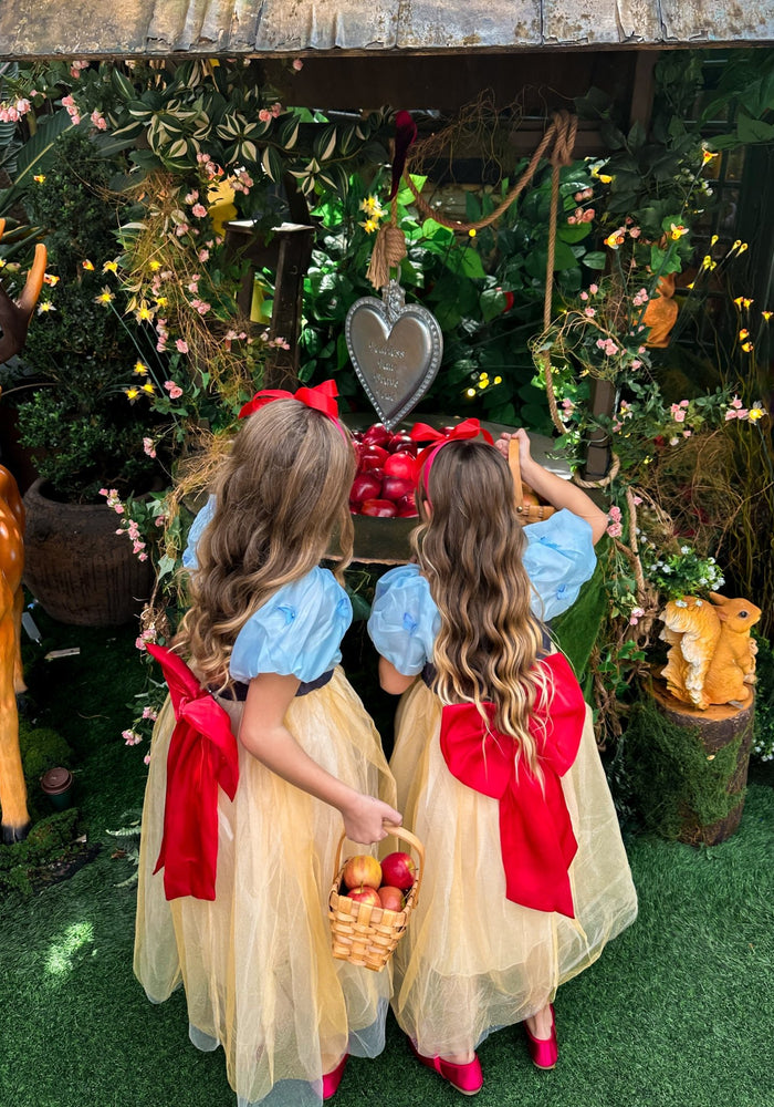 Magical Snow White Luxe Princess Party Dress Costume - Fox Baby & Co