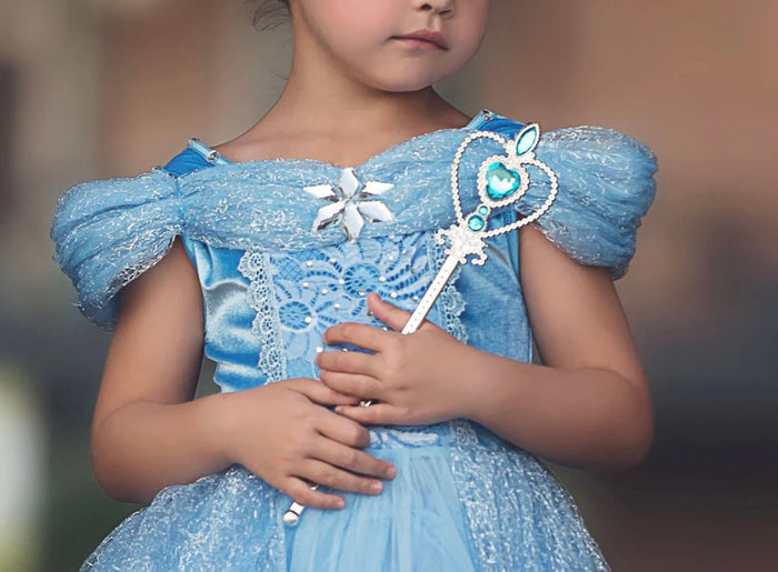 Classic Cinderella Princess Party Dress Costume - Fox Baby & Co