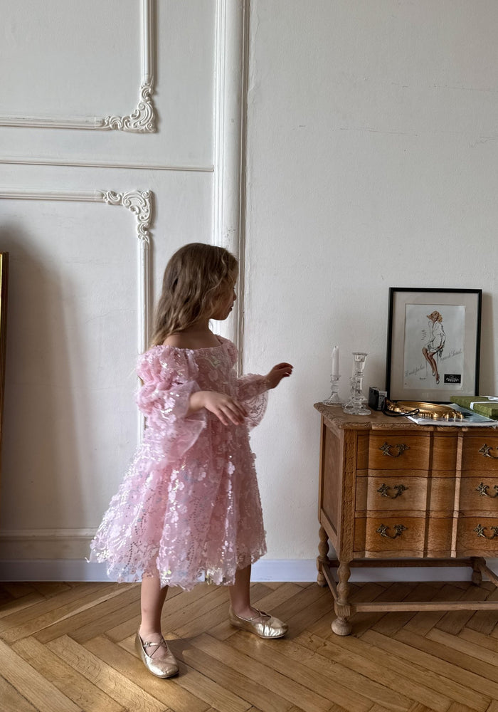 Flowergirl Sparkle Wonderland Long Sleeve Luxe Tulle Dress - Pink - Fox Baby & Co