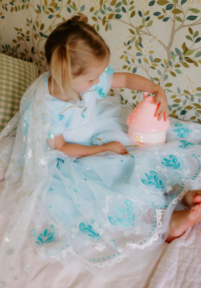 Snow Queen Princess Birthday Party Dress Costume with cape - Fox Baby & Co