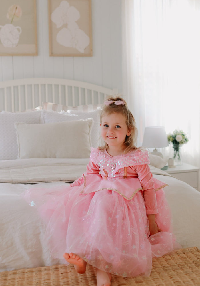 Enchanted Pink Princess Birthday Long Sleeve Party Dress Costume - Fox Baby & Co