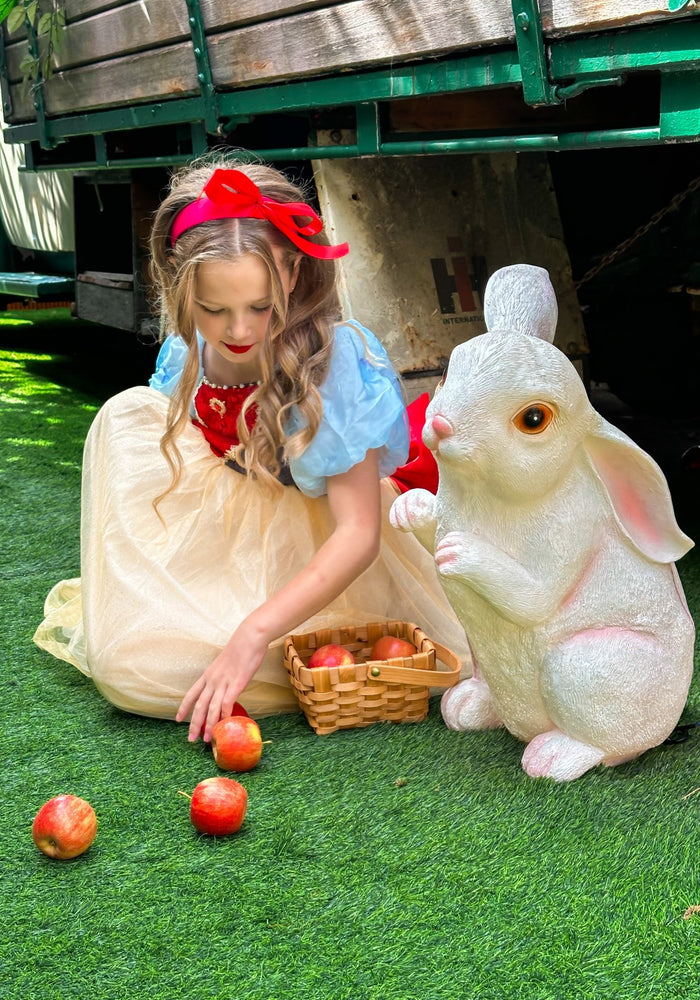 Magical Snow White Luxe Princess Party Dress Costume - Fox Baby & Co