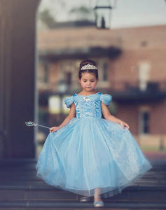 Classic Cinderella Princess Party Dress Costume - Fox Baby & Co