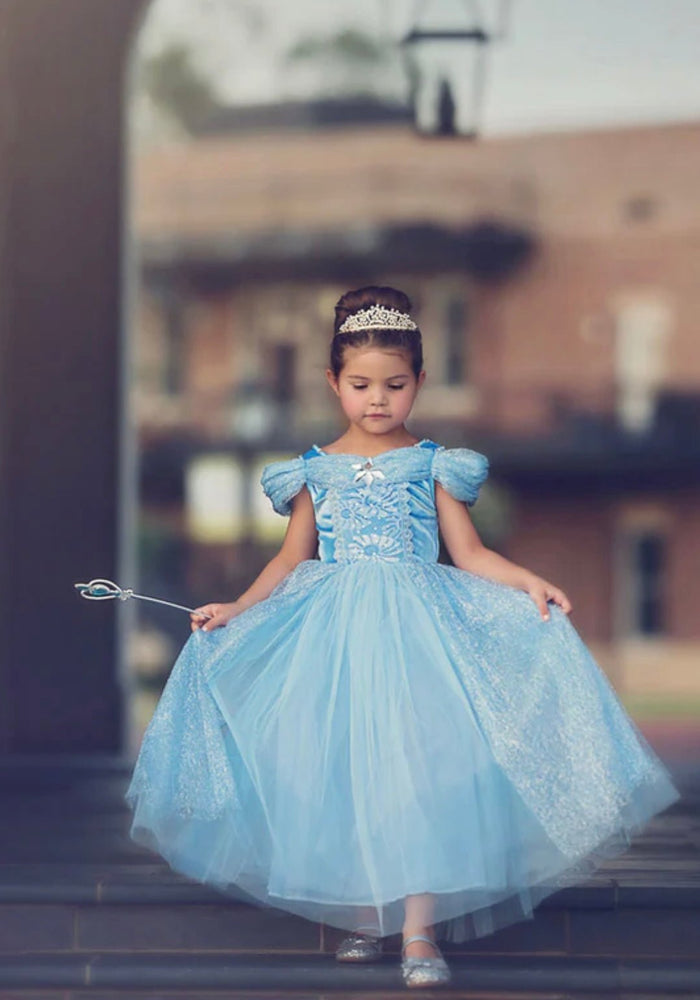 Classic Cinderella Princess Party Dress Costume - Fox Baby & Co