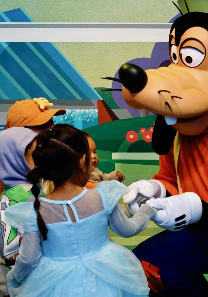 Blue Wonderland Princess Birthday Long Sleeve Party Dress Costume - Fox Baby & Co