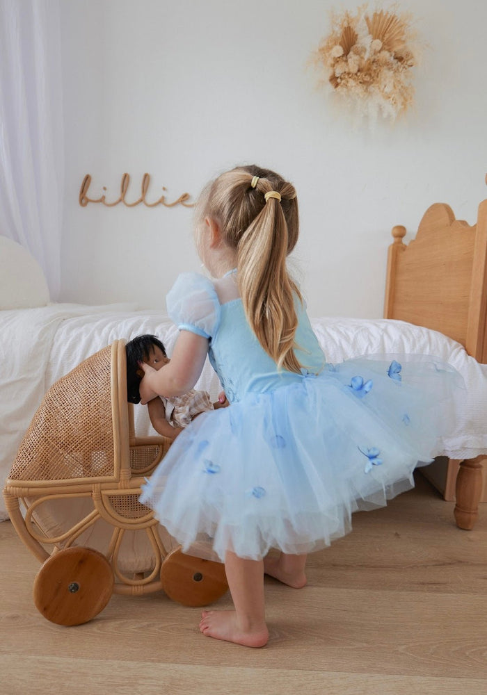 Cinderella Princess Birthday Tutu (limited edition) - Fox Baby & Co