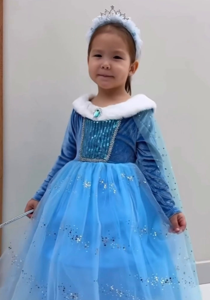 Winter Elsa Princess Long Sleeve Birthday Party Dress Costume - Fox Baby & Co