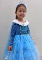Load image into Gallery viewer, Winter Elsa Princess Long Sleeve Birthday Party Dress Costume - Fox Baby &amp; Co
