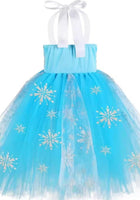 Load image into Gallery viewer, Elsa Snow Princess Tulle Tutu Dress Costume with Jewellery Set - Fox Baby &amp; Co
